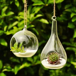 Transparent Round Glass Vase, Clear Flower Plant Stand, Hanging Hydroponic, Home, Office, Wedding, Garden Decor, 10 cm, 12cm