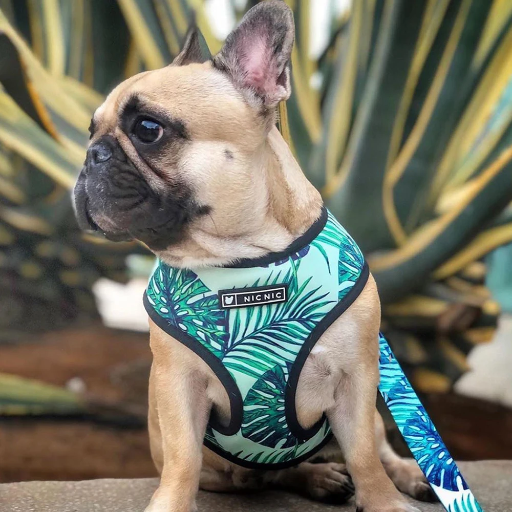 Summer Dog Harness No Pull Dog Harnesses Vest for Medium Small Dogs Puppy Pets Harness Leash Set Breathable French Bulldog Pug