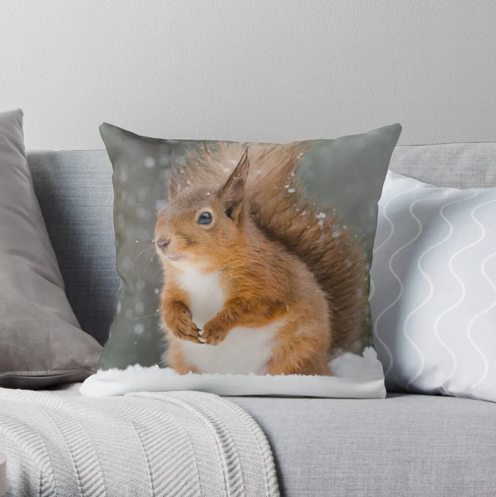 Cute Red Squirrel Throw Pillow Pillowcase Cushion Cover Home Decorative Sofa Pillow Cover Cushion Cover 40x40cm 45x45cm