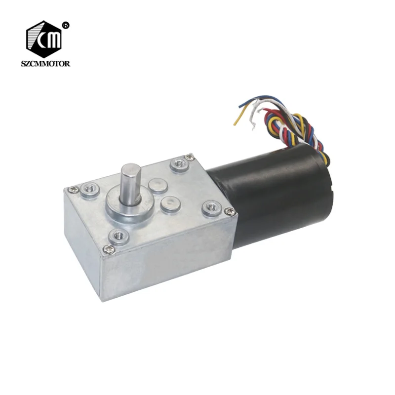 High-Power low noise 12v 24v brushless dc worm gear motor Long Life Silent Slow Speed High Torque Electric Reducer Motor