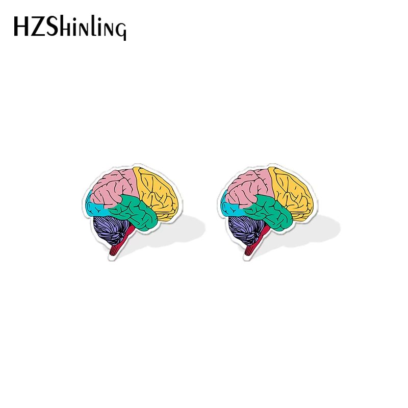 2019 New Human Anatomy Acrylic Earrings Anatomical Heart Teeth Brain Earrings Epoxy Stud Earring