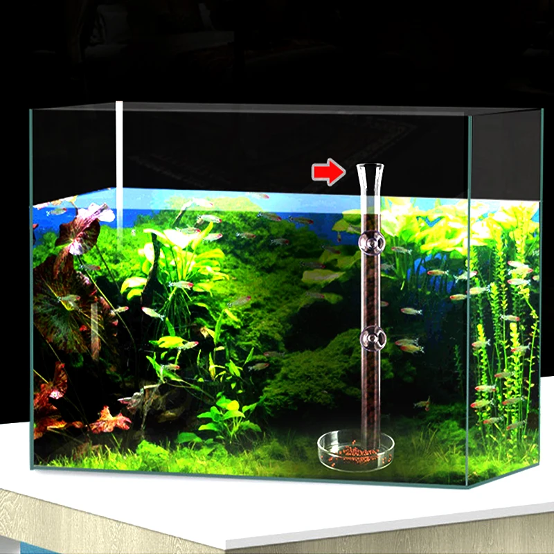 Aquarium Feeder Acrylic Round Straight Tube Transparent Fish Shrimp Snail Feeder Submersible Fish Tank Feeder Feeding Plate