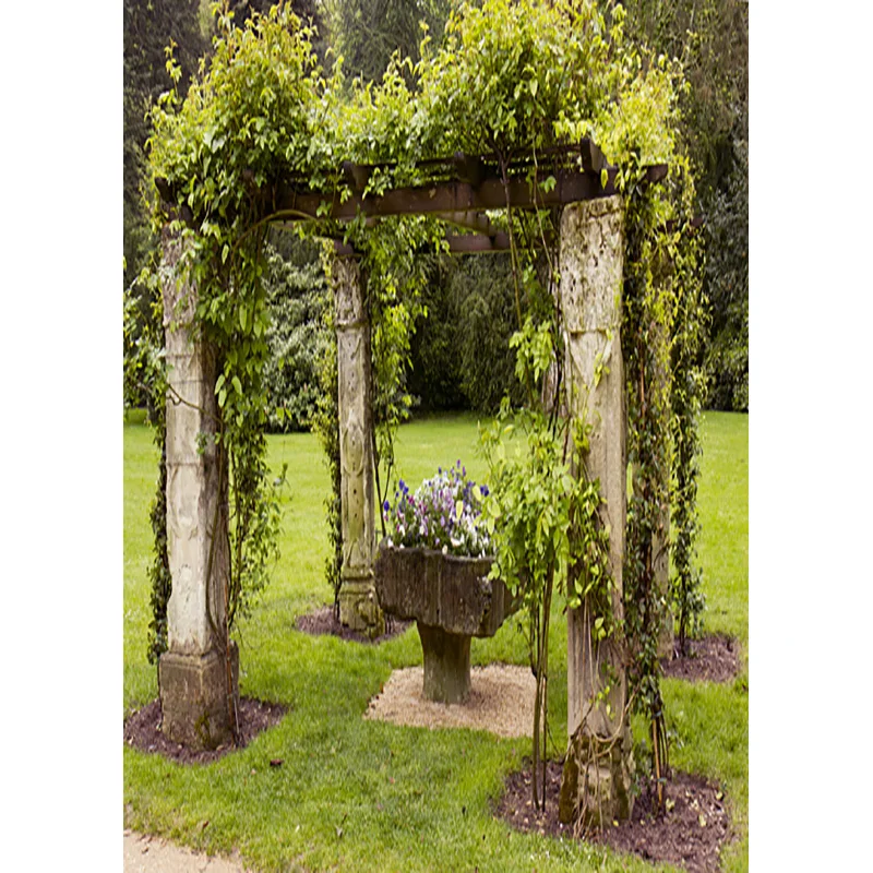 ZHISUXI Rainforest Green Forest Photography Background Natural Scenery Backdrops For Photo Studio Props 1911CXZM-49