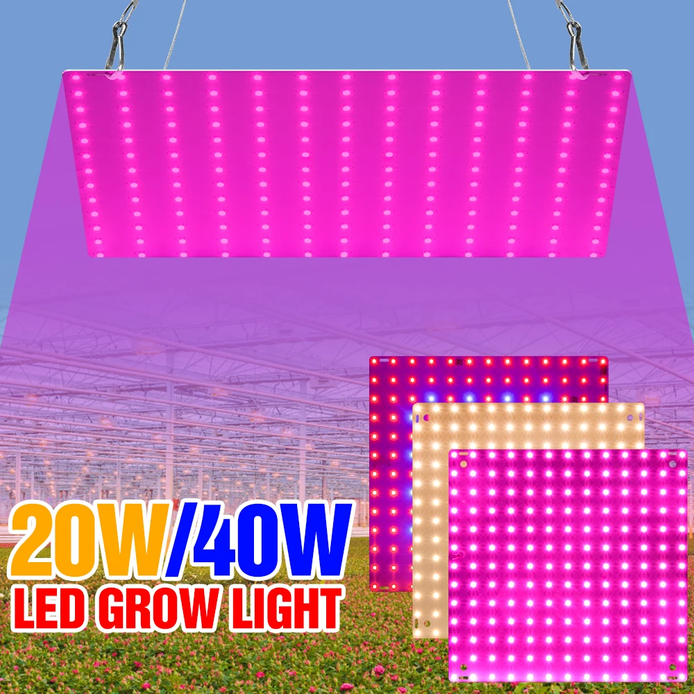 20W 40W Full Spectrum Phyto Light LED Grow Lamp Flower Hydroponics Plants Growth Box US UK EU 220V Seed Cultivation Green House