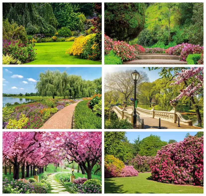 Spring Nature Landscape Garden Park Backdrops for Photographers Trees Flowers Grassland Decor Newborn Portrait Photo Background