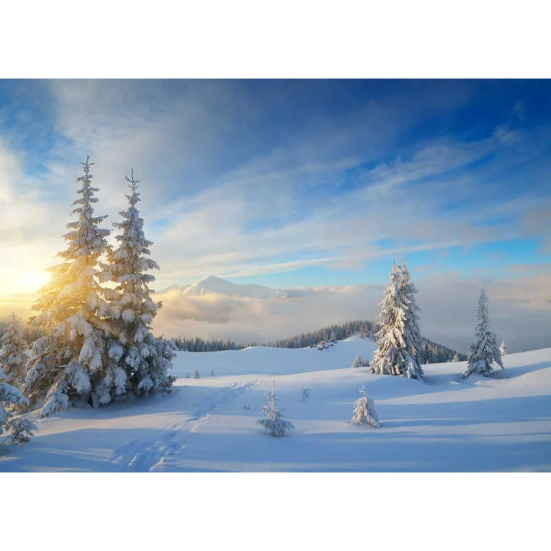 ZHISUXI Vinyl Custom Christmas Day Photography Backdrops Prop Christmas Tree Festival Theme Photo Studio Background XT20924SD-01