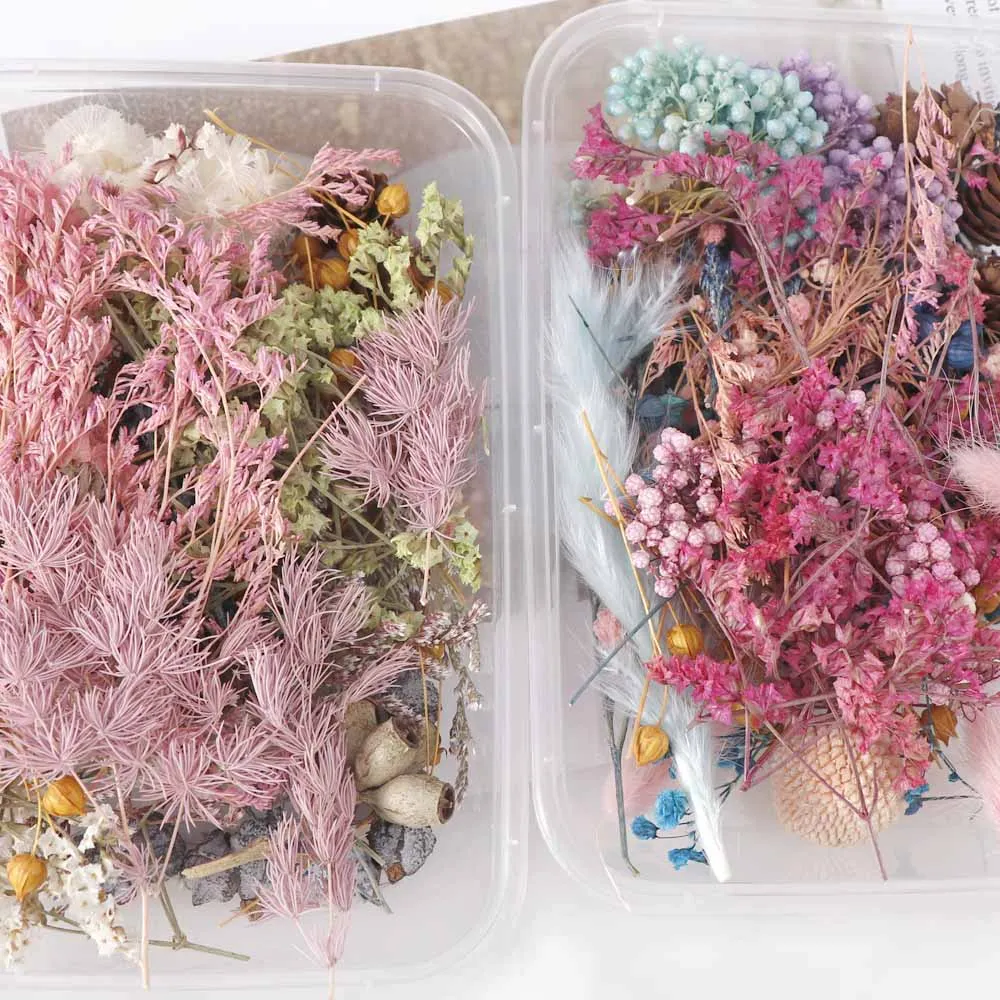 1 Box Real Dried Flower Dry Plants For Aromatherapy Candle Epoxy Resin Pendant Necklace Jewelry Making Craft Valentines Day Gift