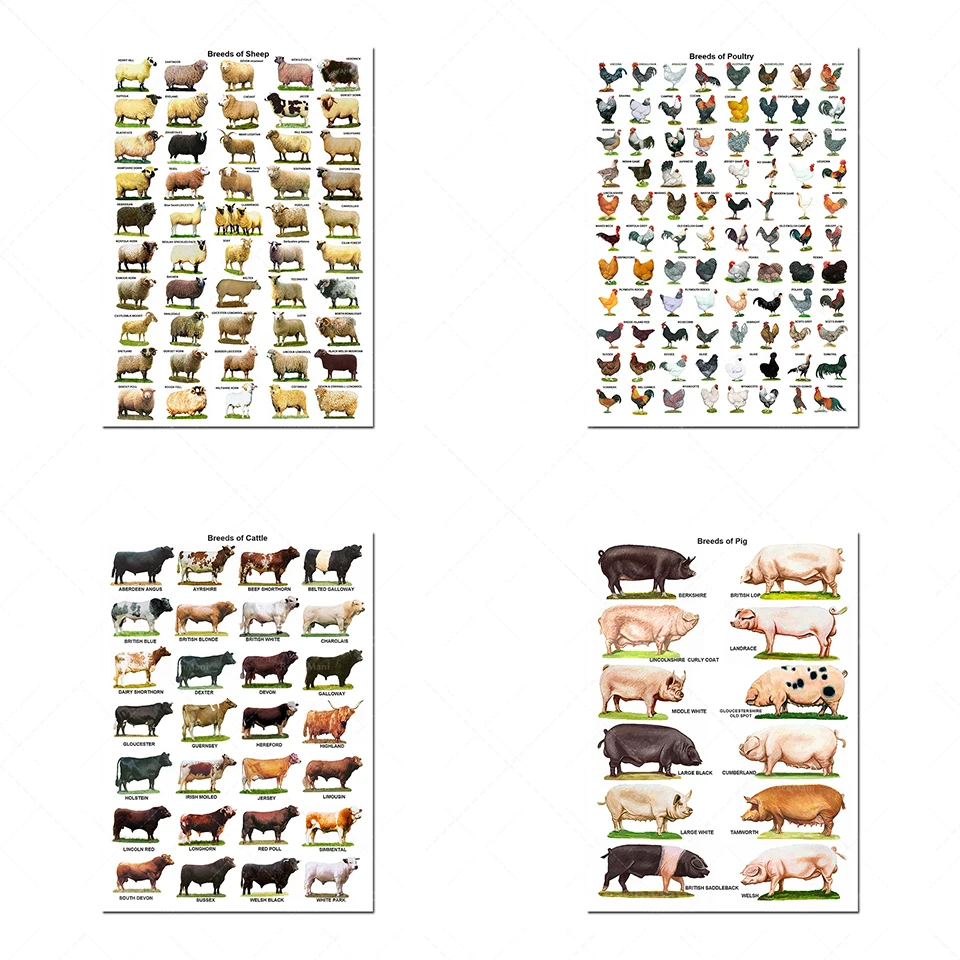 Affiches imprimables imprimables pour bovins, moutons, porcs, fullilles,iegovres/chevaux