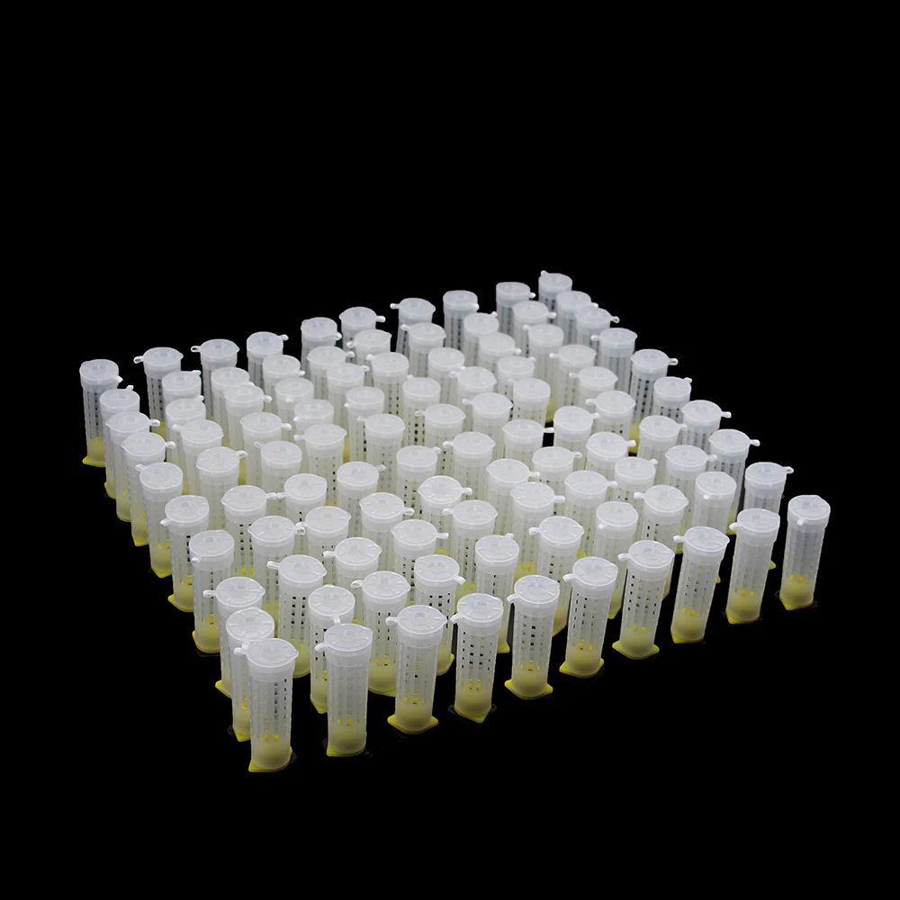 

200PCS Wholesale Beekeeping Bee Tools Protection Cover Cell Queen Rearing System Cages Cup Box Base Catcher Plastic Supplies