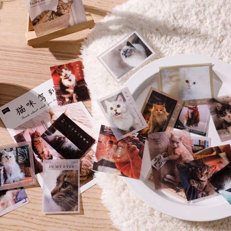 40pcs Cute Pet Sticker Cat Dog Rabbit Decoration Album Diary Journal Scrapebook Laptop Suitcase Phone Case Paper Stationery Gift