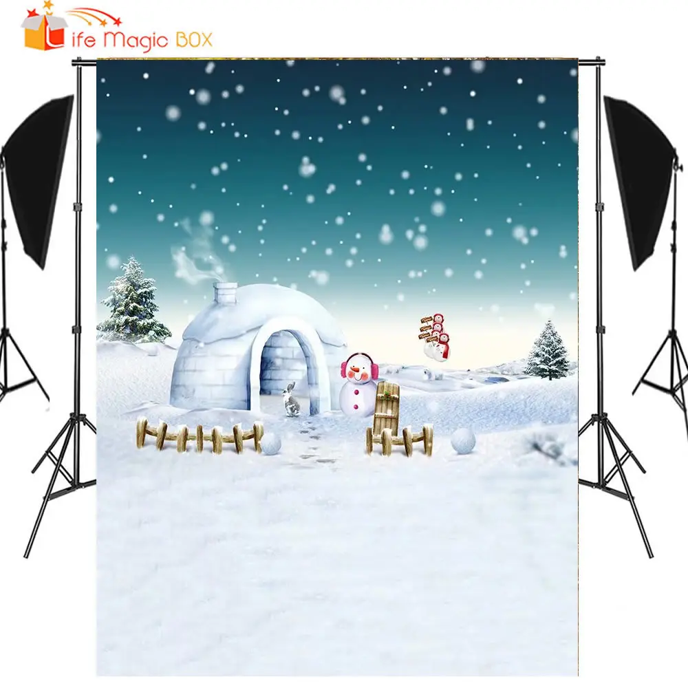 LIFE MAGIC BOX Studio Photo Canvas Vinyl Snowflake Snowman Winter Family Photophone for Cake Photography Backdrops Backgrounds