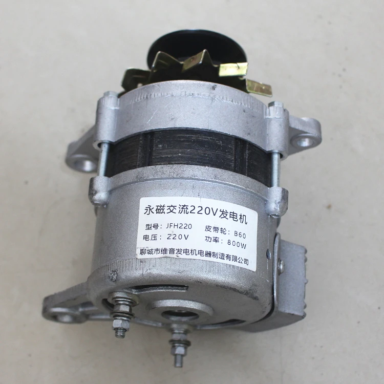 Tipo ruota a cinghia Magnete permanente 220 V Volt 2000 W Piccolo filo di rame avvolto alternatore brushless domestico ad alta potenza