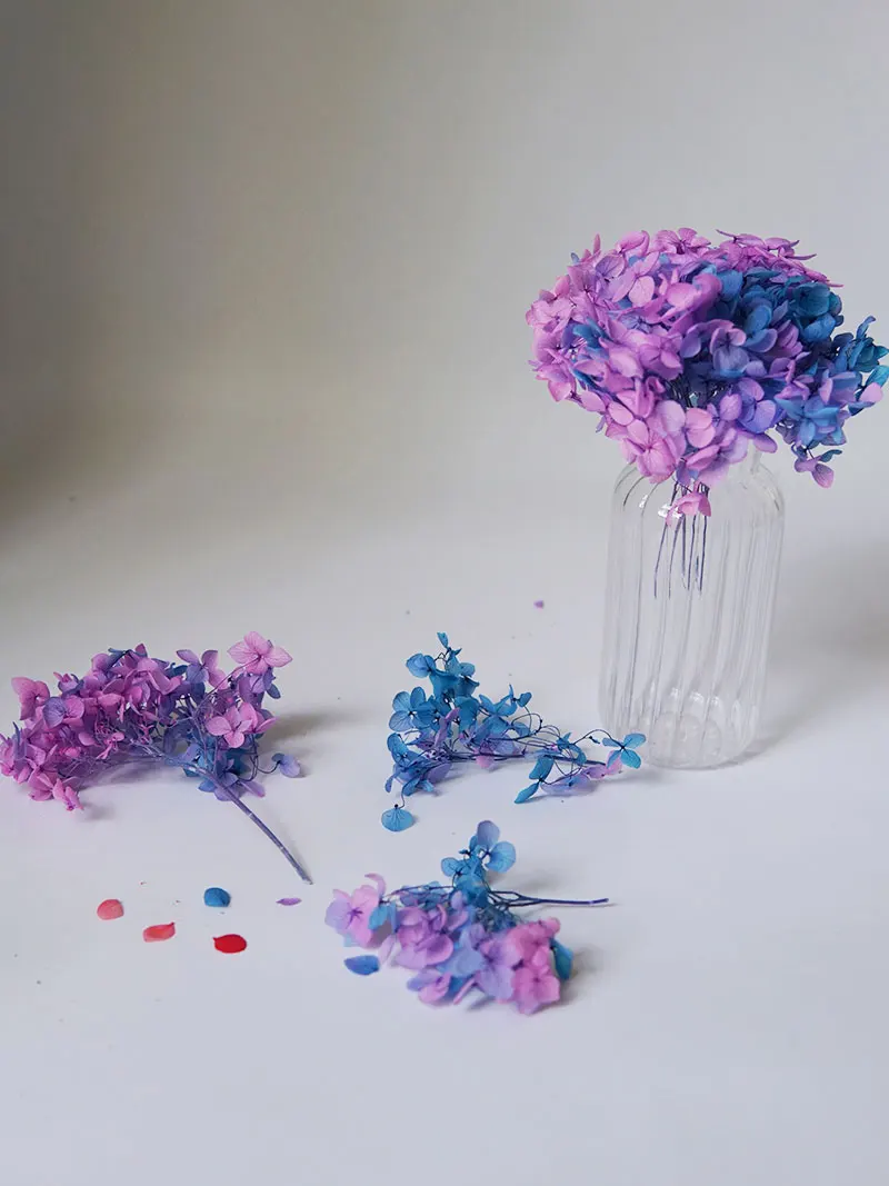 Hortensia conservé de couleur dégradée, décoration de maison, décoration de mariage, petite feuille Anna hortensia époxy, matériel de bricolage fait à la main