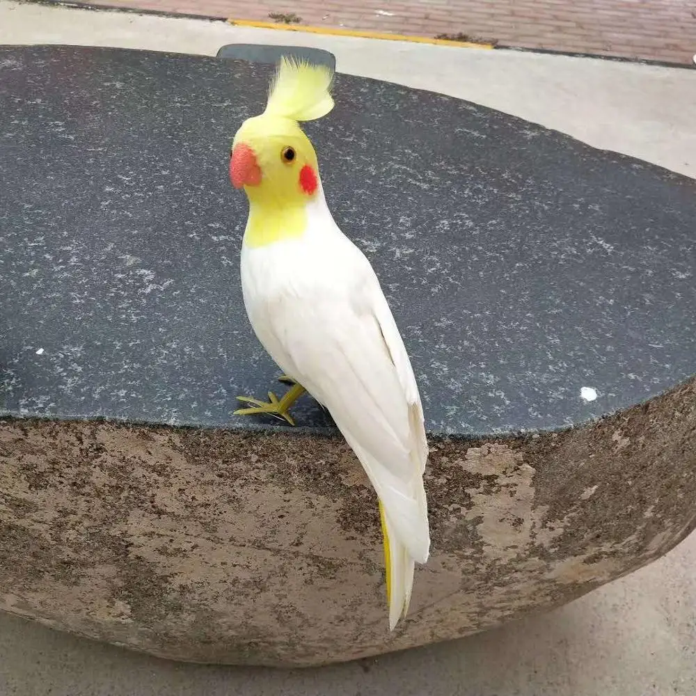 

cute simulation white parrot model foam&feather turned parrot doll about 30cm