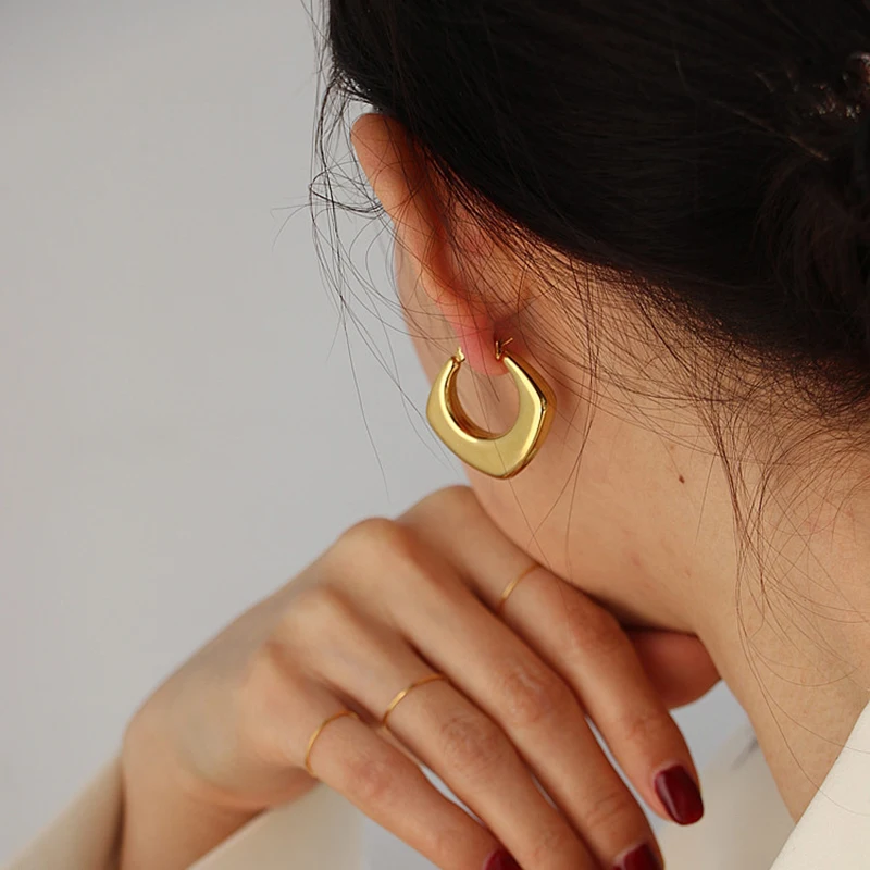 2024 Trendy Unusual 18K Gold Hoop Earrings For Women Vintage Oval Square Stainless Steel Jewelry for Women Hyperallergic Needles