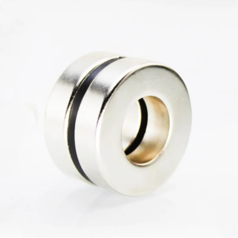 Anello magnetico NdFeB OD 30x20x10 (+/-0.1)mm di spessore forte magneti permanenti al neodimio tubo magnetico di terre Rare precisione 4 pezzi