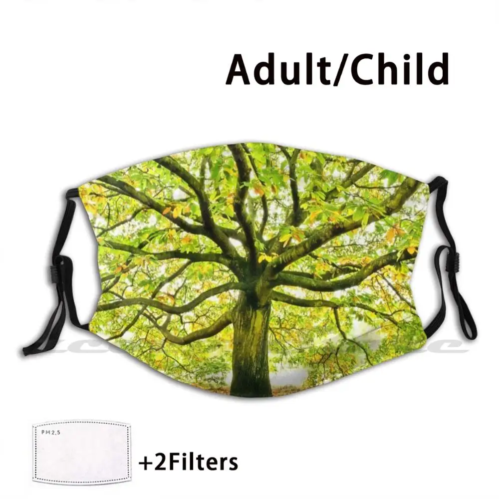 Autumn Is Coming... Mask Adult Child Washable Pm2.5 Filter Logo Creativity Autumn Autumn Leaves Autumn Tree Autumn Trees