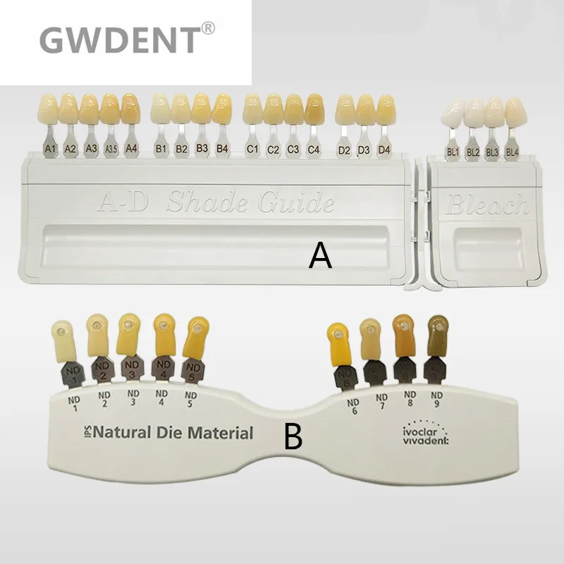 

Porcelain Dental Teeth Denture tooth colorDental model Oraltooth teeth Classical porcelain teeth color shade guide