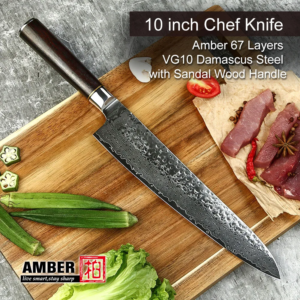 AMBER 10 inch Professional Chef Knife 67 Layers VG10 Damascus Knife High Carbon Stainless Steel Forged Knives for Kitchen