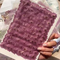 250pcs Pressed Dried 2-3cm Purple Daisy Flower Plant Herbarium For Jewelry Bookmark Postcard Phone Case Photo Frame Making DIY