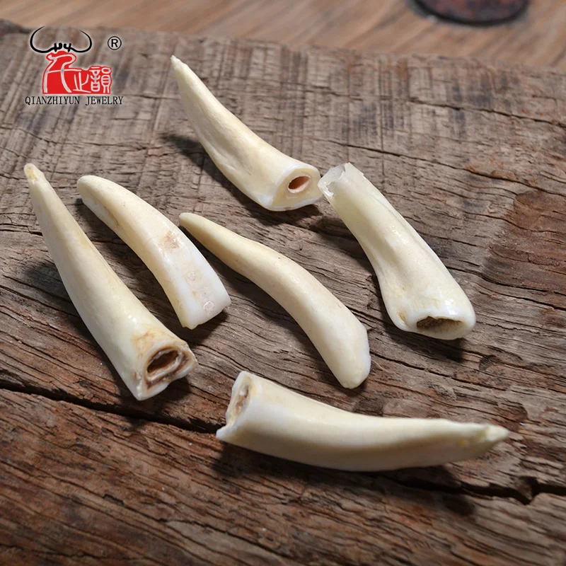 5pcs Camel Teeth Natural Bone Beads Pendants For Diy Jewelry Making Primitive tribal ornaments Jewelry Accessories