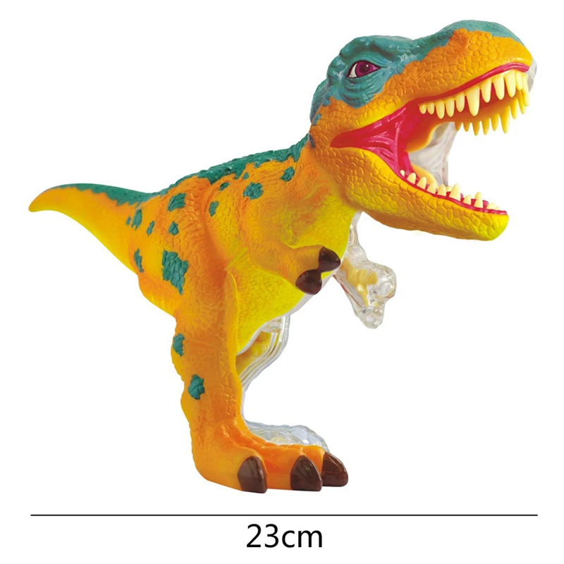 Modelo de ensamblaje de Anatomía de dinosaurio maestro 4D auténtico, juguete educativo de animales de simulación edición Q