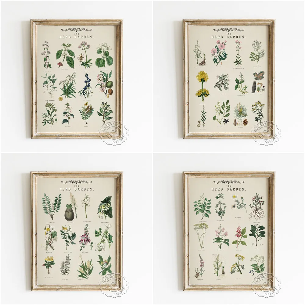 

Herb Garden Vintage Art Poster, Flower Illustration Wall Picture, Botany Canvas Painting, Botanist Enthusiast Education Wall Art