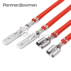 10 Pcs 4.8mm Auto Brass Tinned Electrical Cable Connectors Crimp Terminal Box Wire Splice Pins with Cable