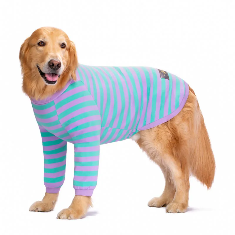 Cute Big Dog Clothes, Golden Retriever, Labrador, Medium and Large Dog Elbow Pads, Two-Legged Clothes, Autumn