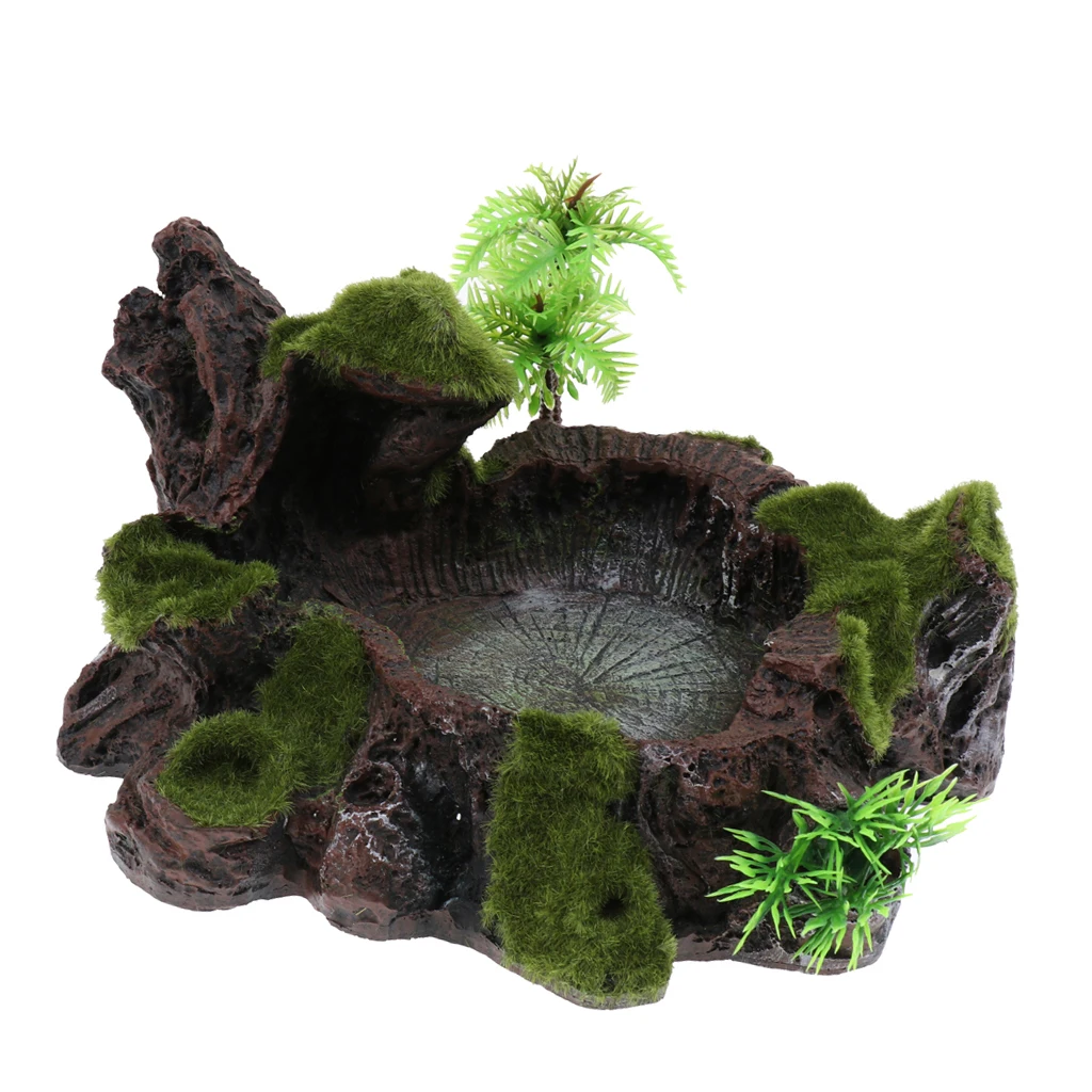 Rock Bowl Food Water Dish Feeder Plant Decor For Terrarium Reptile Tank