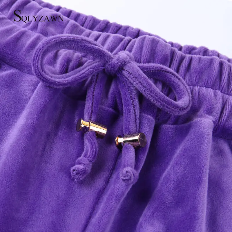 Velvet 2 Piece Hoodies Cropped Sweatshirt + Pants Set Womens Fall Winter Pink Purple Casual Fleece Tracksuit Velour Sport Outfit