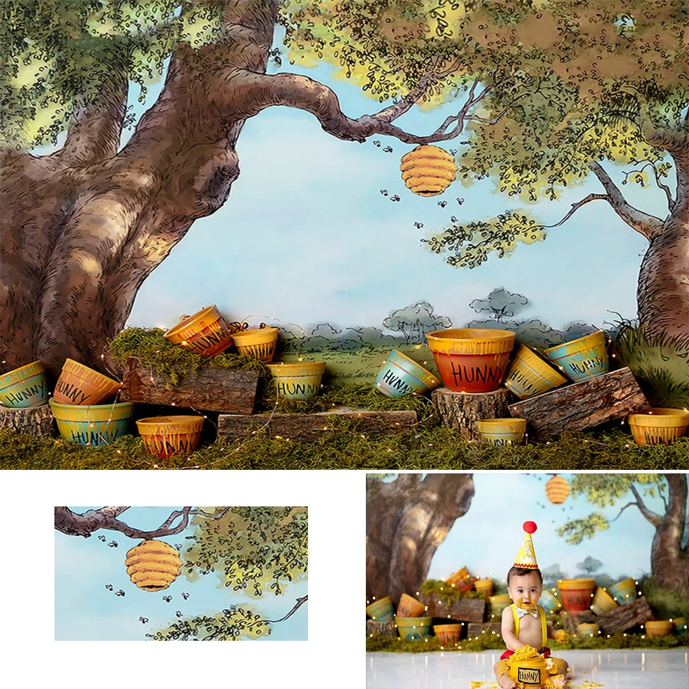 طفل صبي 1st عيد ميلاد خلفيات للتصوير الفوتوغرافي إطار الباب الطفل الوليد خلفية الطفل الفني صورة خلفية