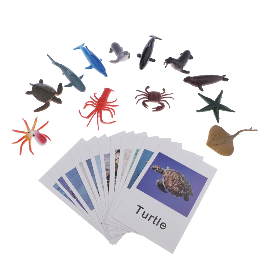 Montessori Ocean Animal Match Cards and Figurines, Matching Game Learning Toy, Language Materials