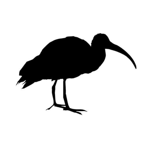 16 سنتيمتر * 10.8 سنتيمتر متعة Ibis الأسهم هيرون البلشون الفينيل سيارة ملصق مائي أسود/فضي الديكور