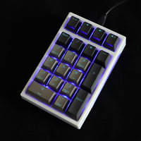 double shot keycap pbt Pudding 21key numpad multimedia key F1-F12 Keycaps