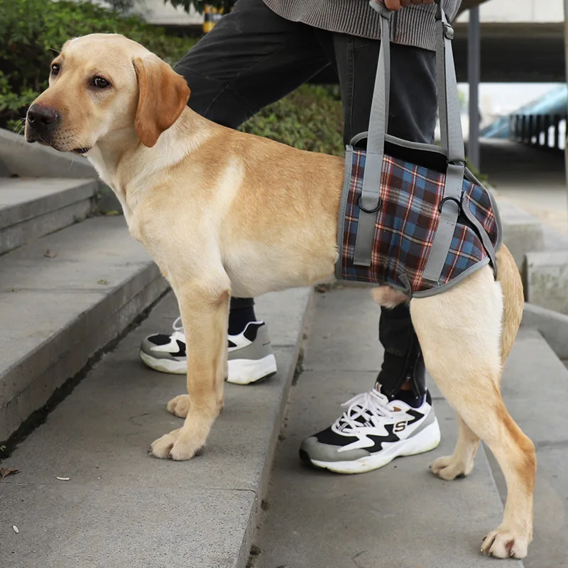 調節可能な犬のサポートハーネス,フロントとリアの脚の調整可能なハーネス,サポート付きのリハビリテーションベスト,古い犬とスコペット用品