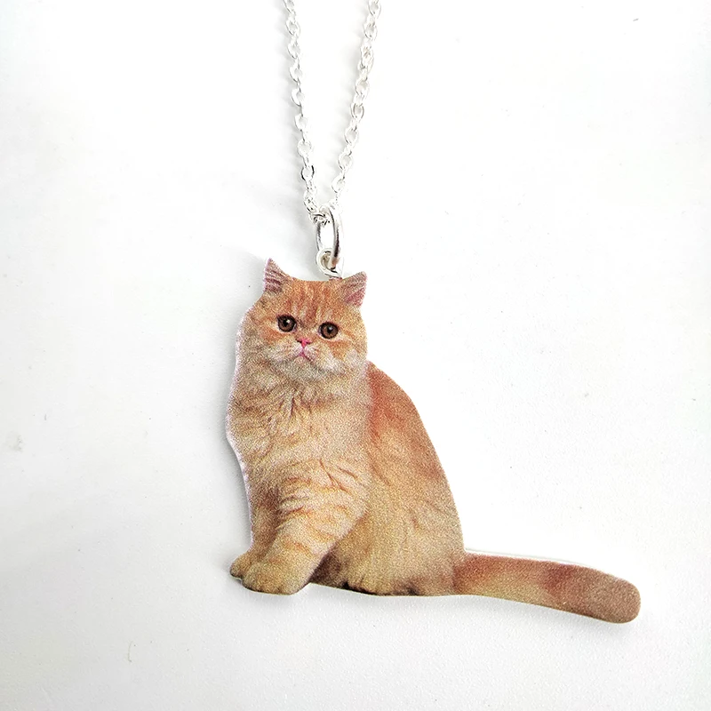 Custom Pet Photo Name Necklace For Family Personalized Ur  Photo Name KeyChian Necklace Christmas Gifts