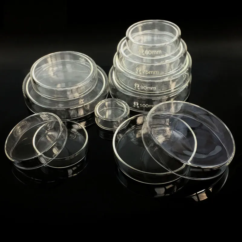 60mm 75mm 90mm 100mm Glass Petri Dishes with Lids Lab  Bacterial Yeast Dishes,Borosilicate Glass Petri Culture Dish 2pcs