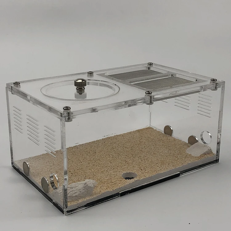 Concrete Natural sand auto template heating control ant nest,light shading ant farm colony big formicarium