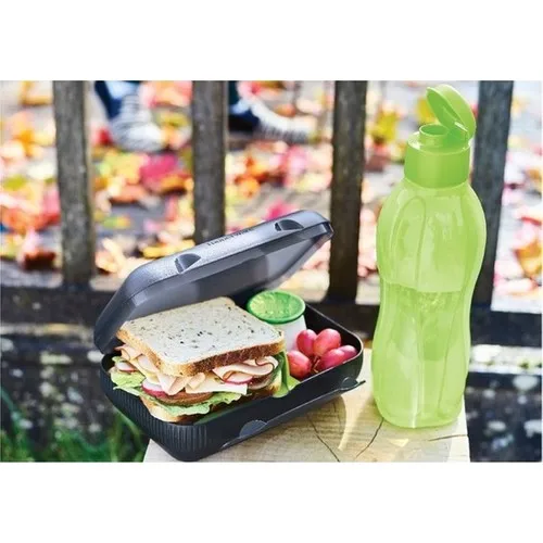 Tupperware Compartment Lunch Box