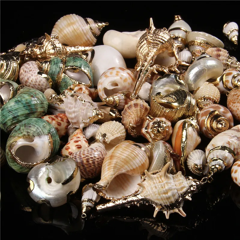 Boho Fashion Lady Cowrie Sea Shell Necklace Earrings Accessories Summer Beach Conch Natural Shell Charms Jewelry Supply 5pcs/lot