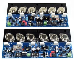 New  WEILIANG  Accuphase E405 Gold Sealed Tube Pure Rear Amplifier Board High Power HIFI Fever Grade (A Pair)