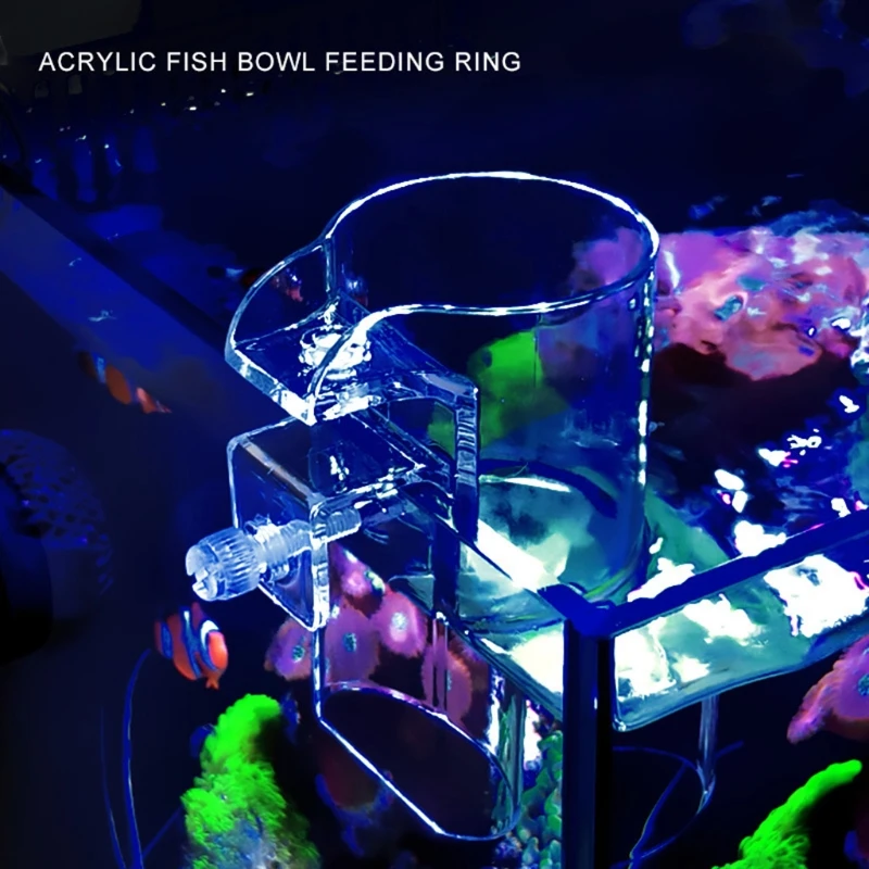 Aquarium Fish Feeder Transparent Arcylic Floating Food Feeding Ring Betta Fish Tank Shrimp Feeder Feeding Cup for Plant Tank