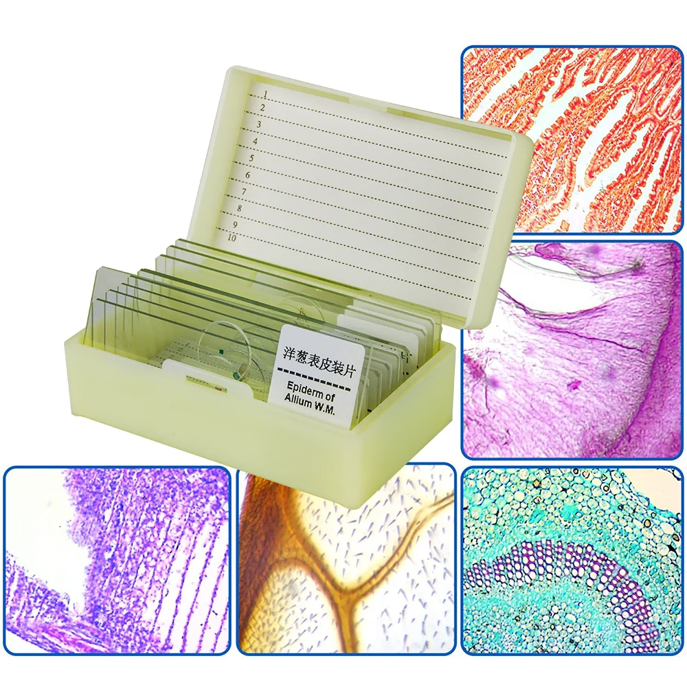 10PCS Professional Glass Slice Prepared Microscope Slides Educational Specimen Animals and Plants Tissue Sections