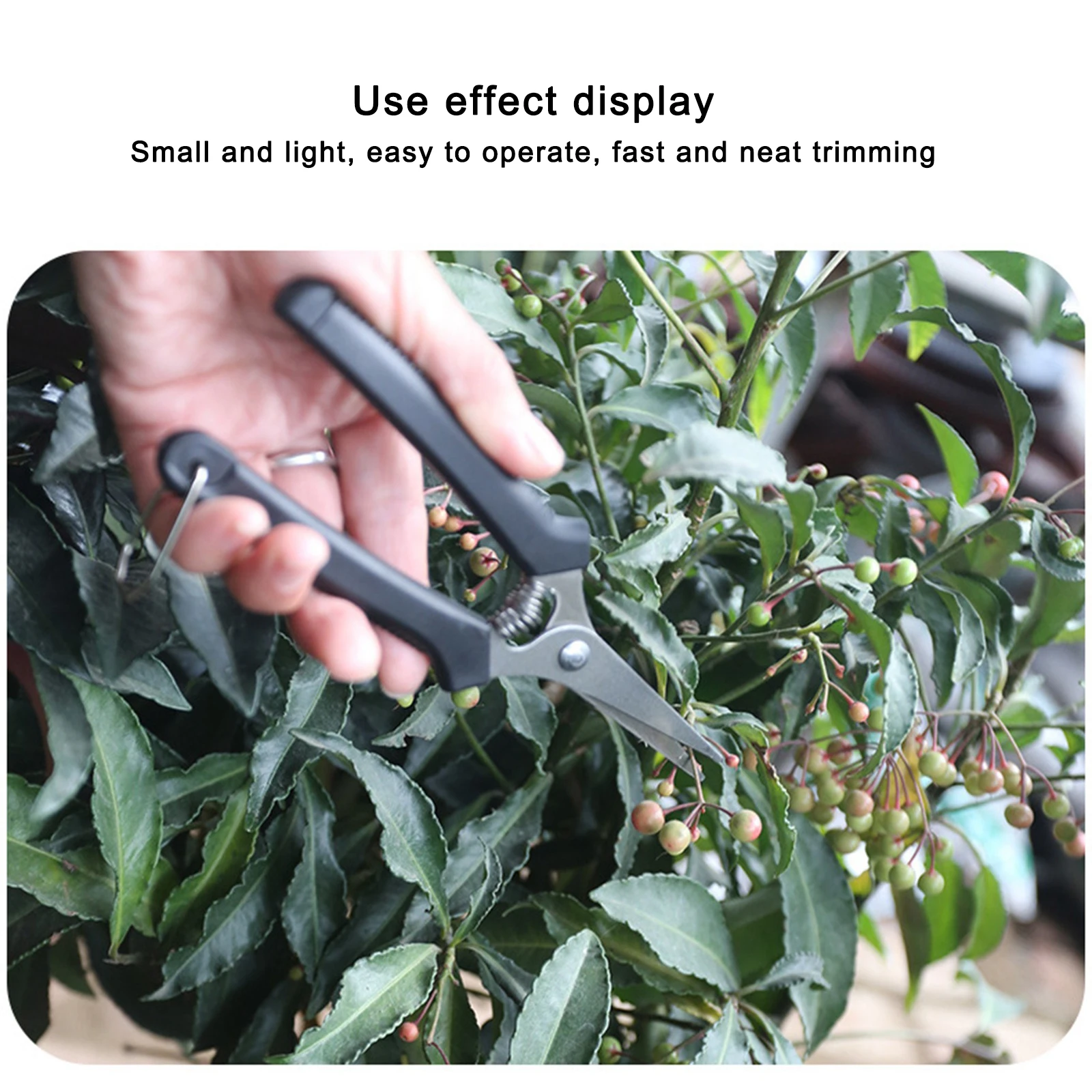 Gardening Hand Pruner Mini Flower Grass Shears Fruit Branch Scissors Pruning Shears Plant Trimmer Orchard Gardening Hand Tools