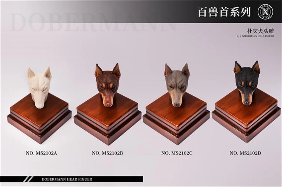Hot Sales 1/6th Mostoys MS2102 Vivid Dog Animals Doberman Head