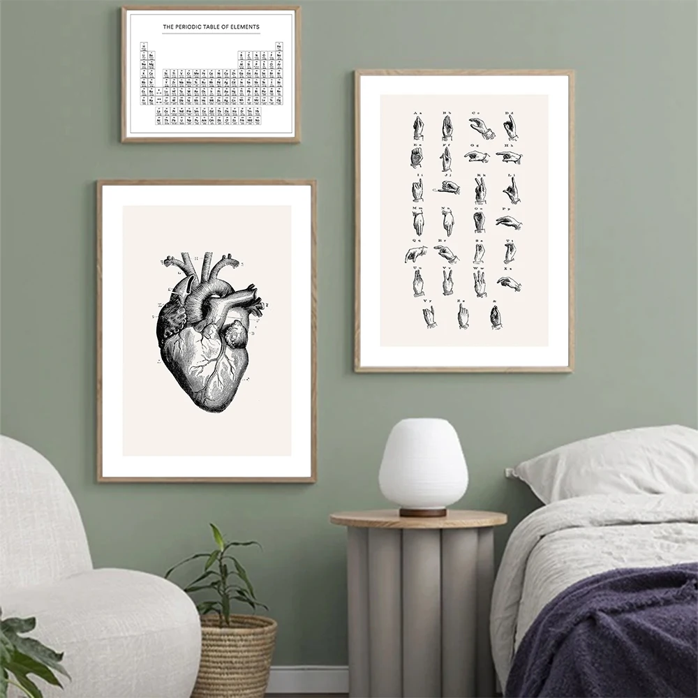 

Modern Periodic Table Posters Canvas Painting Wall Art Letters Print For Study Room Biology Lesson Heart Demonstration Pictures