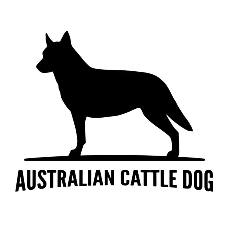

Australian Cattle Dog vinyl car sticker reflective waterproof waterproof removable decal self-adhesive car auto sticker