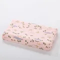color12-pillow case