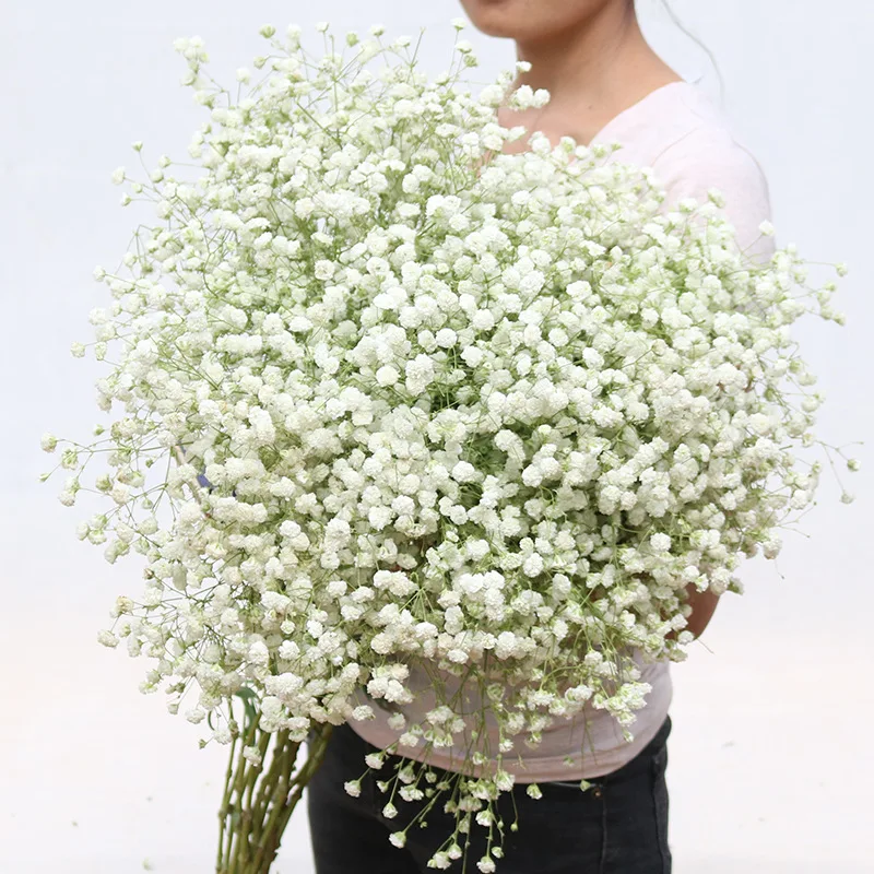 

100g Big Bunch Baby Breath Natural Dried Preserved Gypsophila Flower For Wedding Home Decor Valentines Day Gift Craft